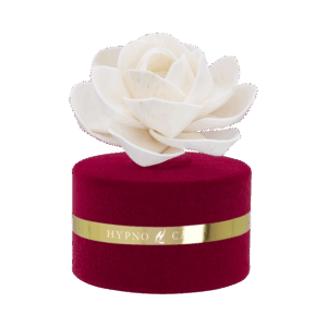 Diffusore con fiore Rosa effetto velluto cofanetto gift Melograno 60 ML