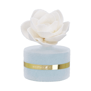 Diffusore con fiore Rosa effetto velluto cofanetto gift Acqua Marina 60 ML